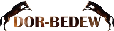 Dor Bedew